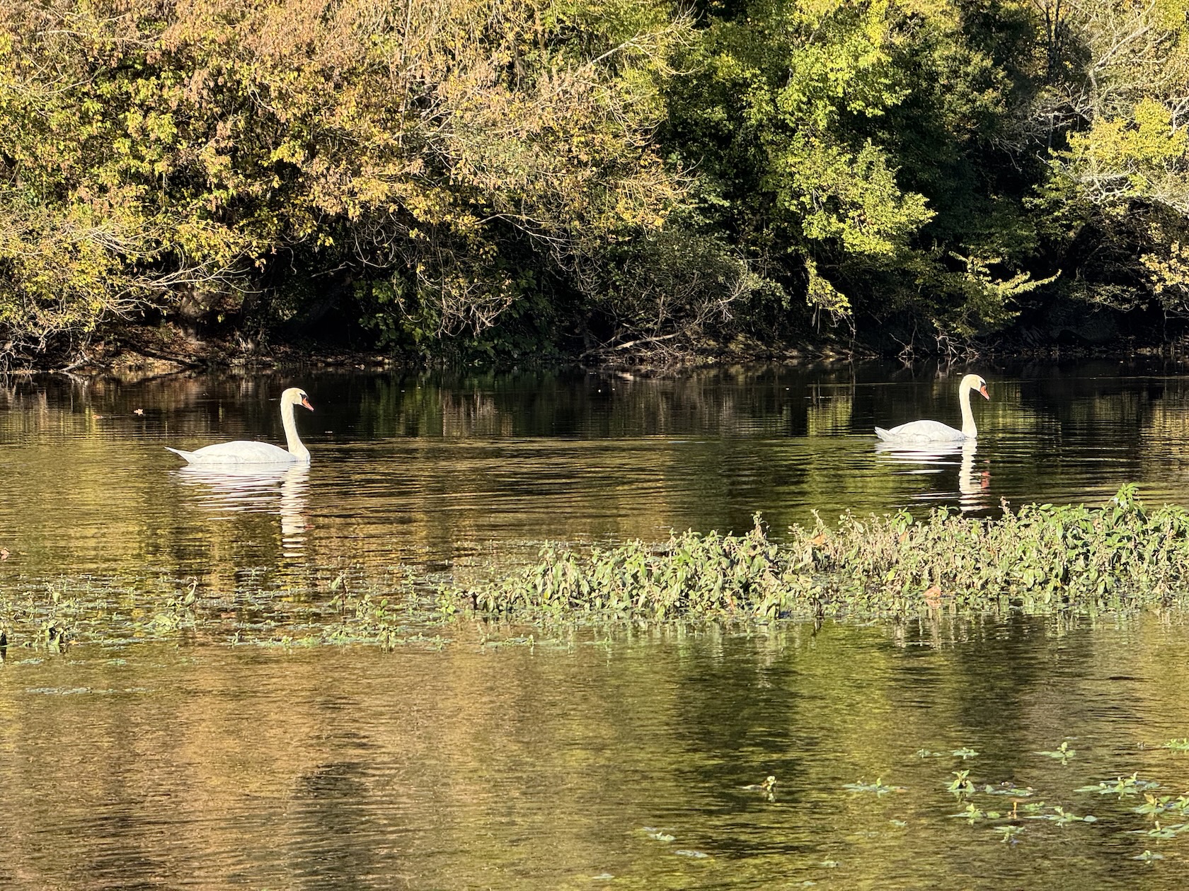 Location canoe kayak prés de beynac